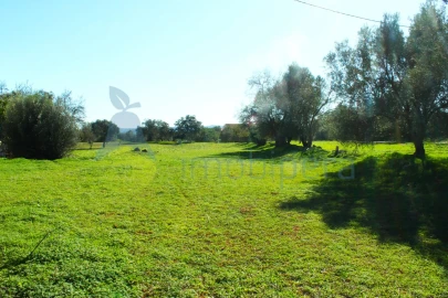 Terreno para Venda em São Bartolomeu de Messines