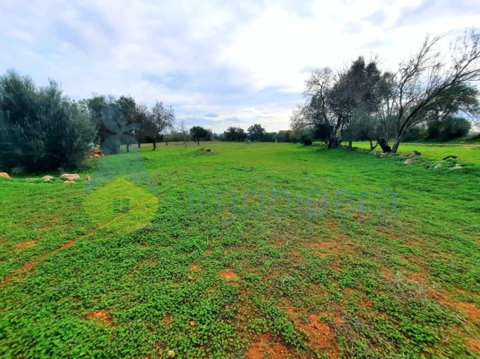 Terreno para Venda em São Bartolomeu de Messines Foto 11