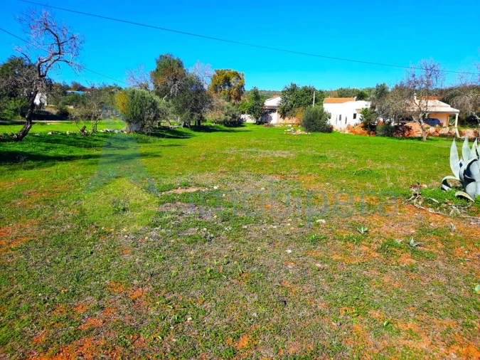 Terreno para Venda em São Bartolomeu de Messines Foto 7