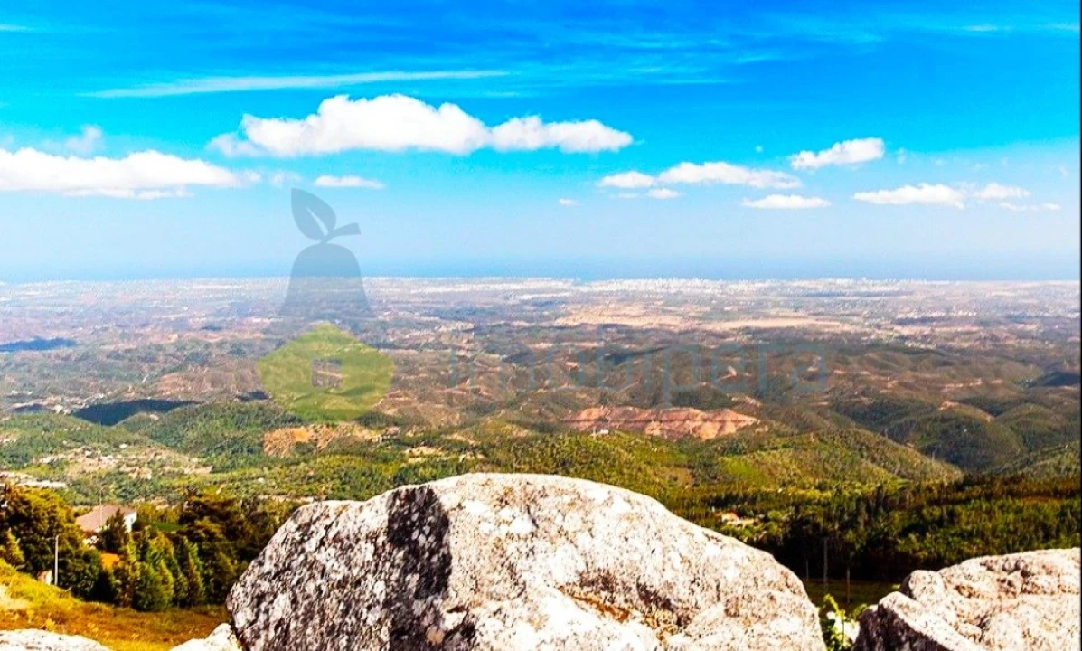 Terreno Agricola ou Rústico para Venda em Monchique Foto 14