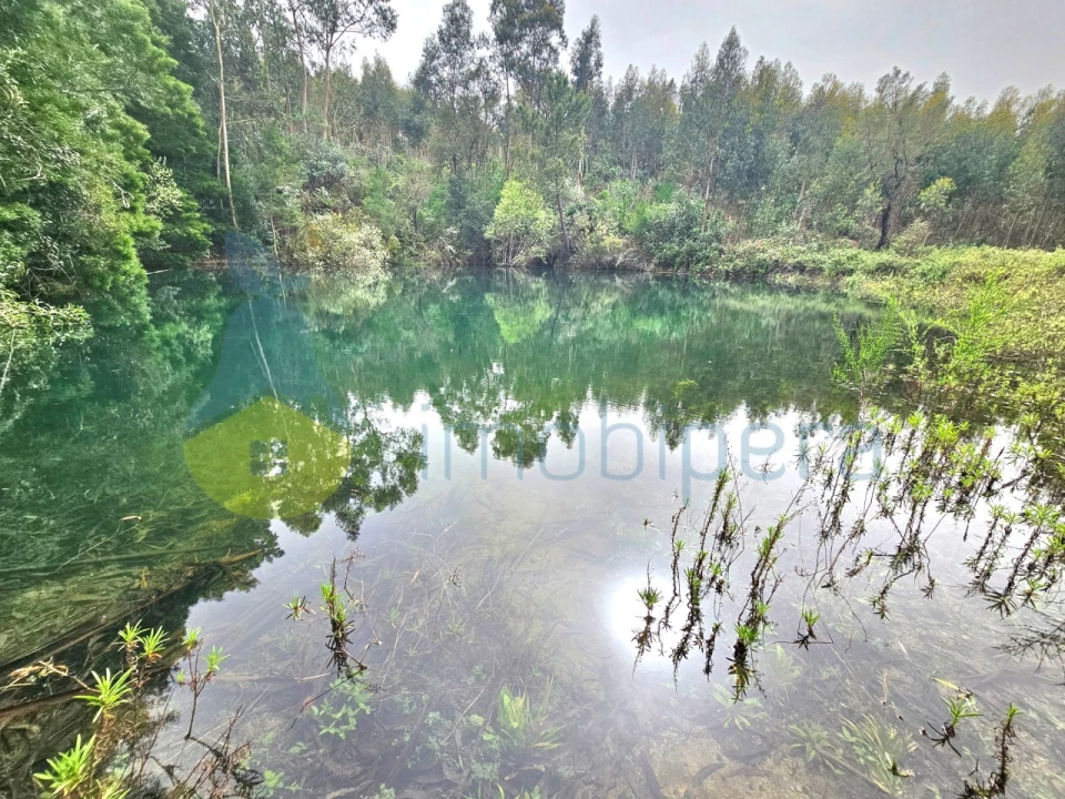 Terreno Agricola ou Rústico para Venda em Monchique Foto 1