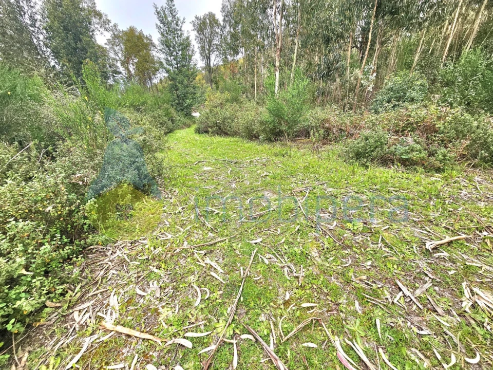 Terreno Agricola ou Rústico para Venda em Monchique Foto 6