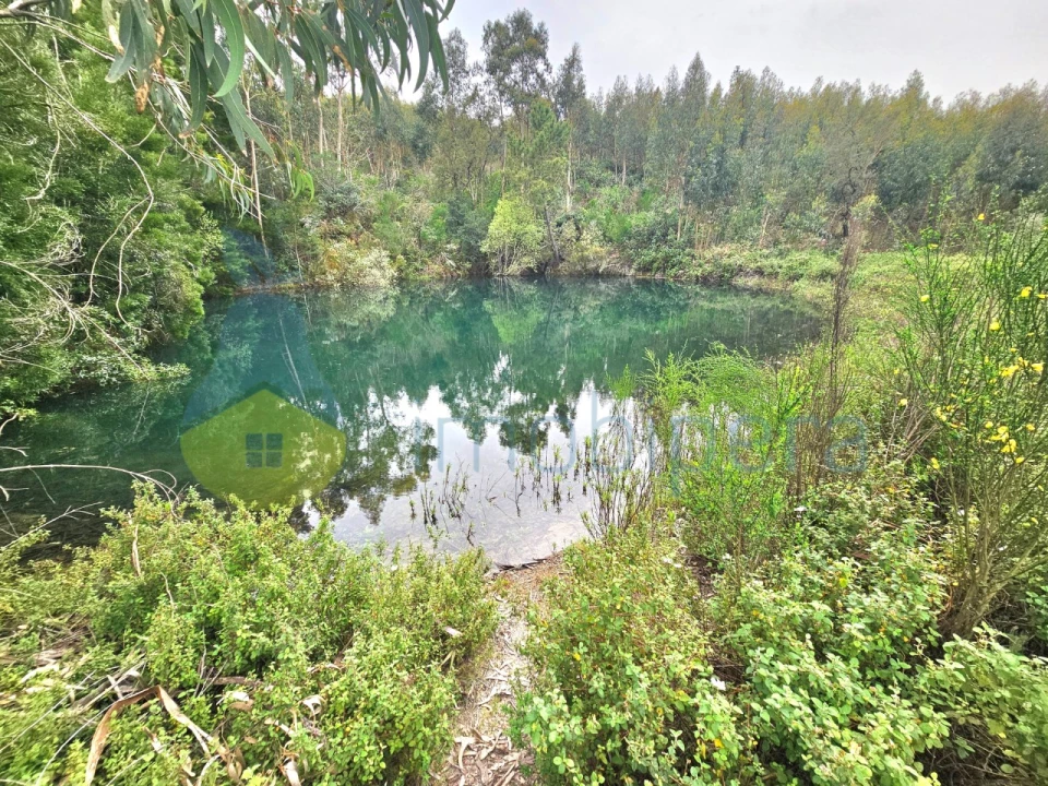 Terreno Agricola ou Rústico para Venda em Monchique Foto 3
