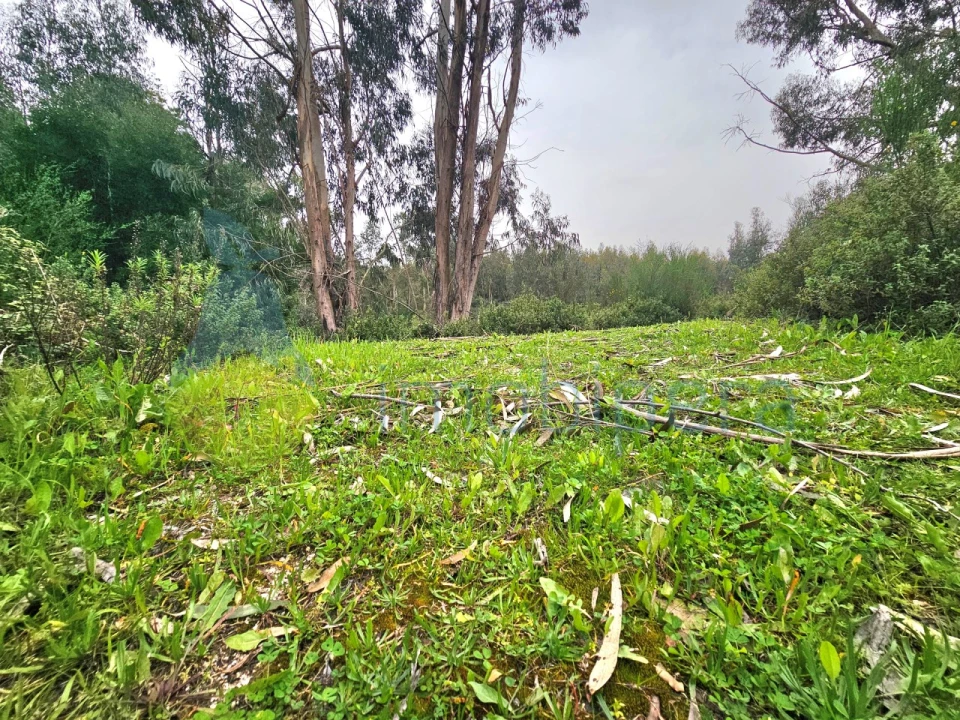 Terreno Agricola ou Rústico para Venda em Monchique Foto 7