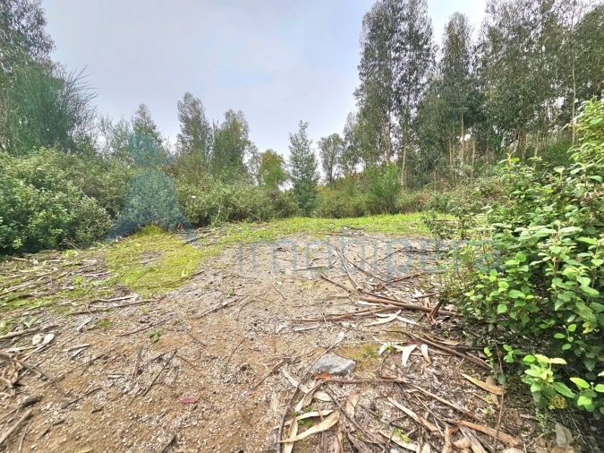 Terreno Agricola ou Rústico para Venda em Monchique Foto 4