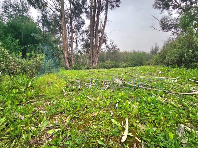 Terreno Agricola ou Rústico para Venda em Monchique Foto 7