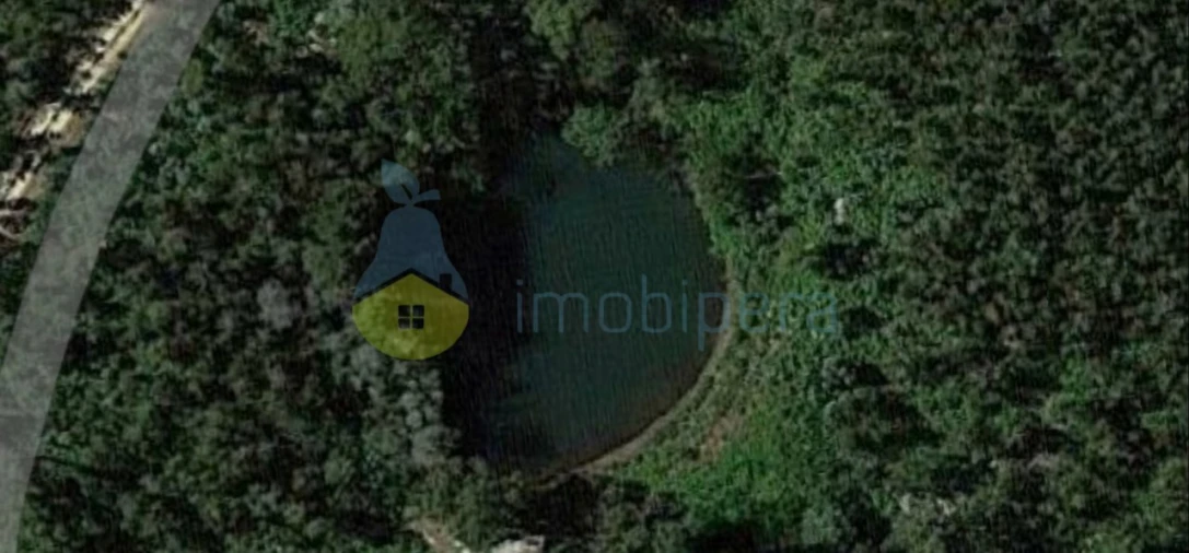 Terreno Agricola ou Rústico para Venda em Monchique Foto 12