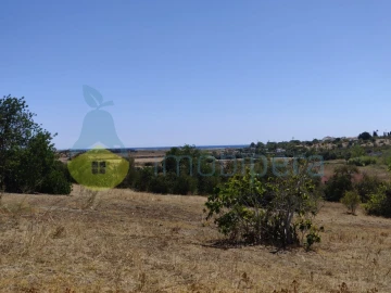Terreno para Venda em Alcantarilha e Pêra