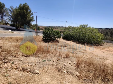 Terreno para Venda em Alcantarilha e Pêra