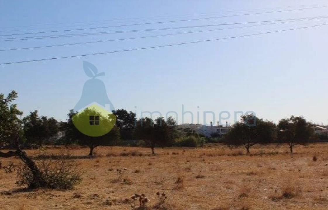 Terreno para Venda em Ferreiras Foto 3