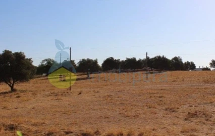 Terreno para Venda em Ferreiras