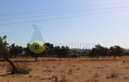 Terreno para Venda em Ferreiras