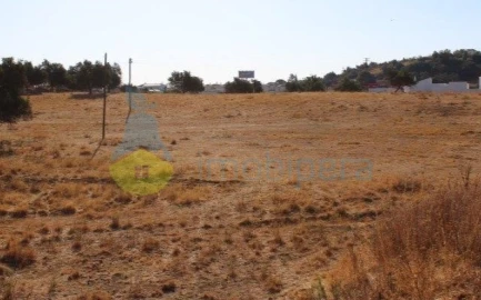 Terreno para Venda em Ferreiras
