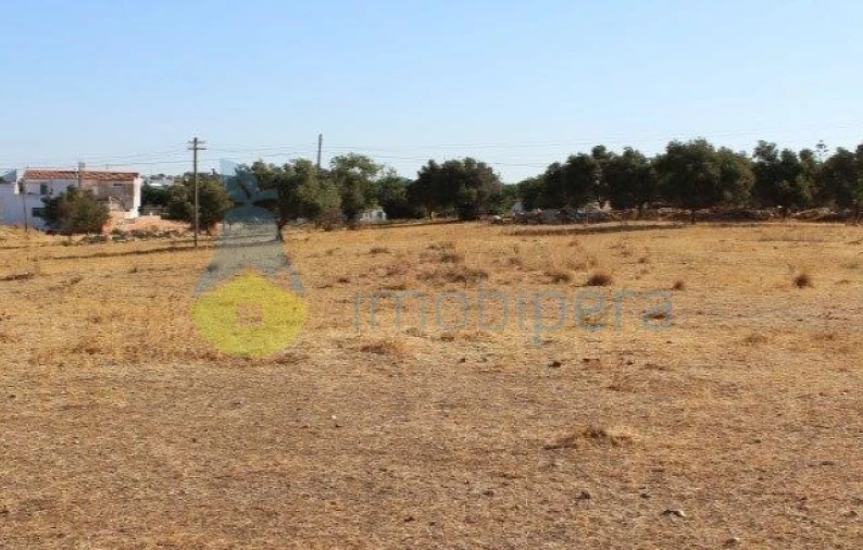 Terreno para Venda em Ferreiras