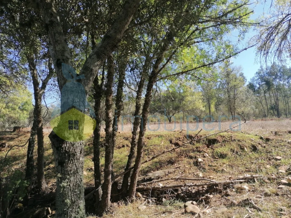 Moradia T3 para Venda em Santa Clara-A-Velha Foto 24