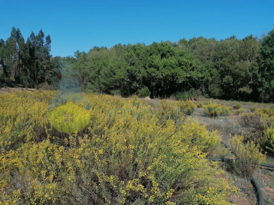 Moradia T3 para Venda em Santa Clara-A-Velha Foto 30