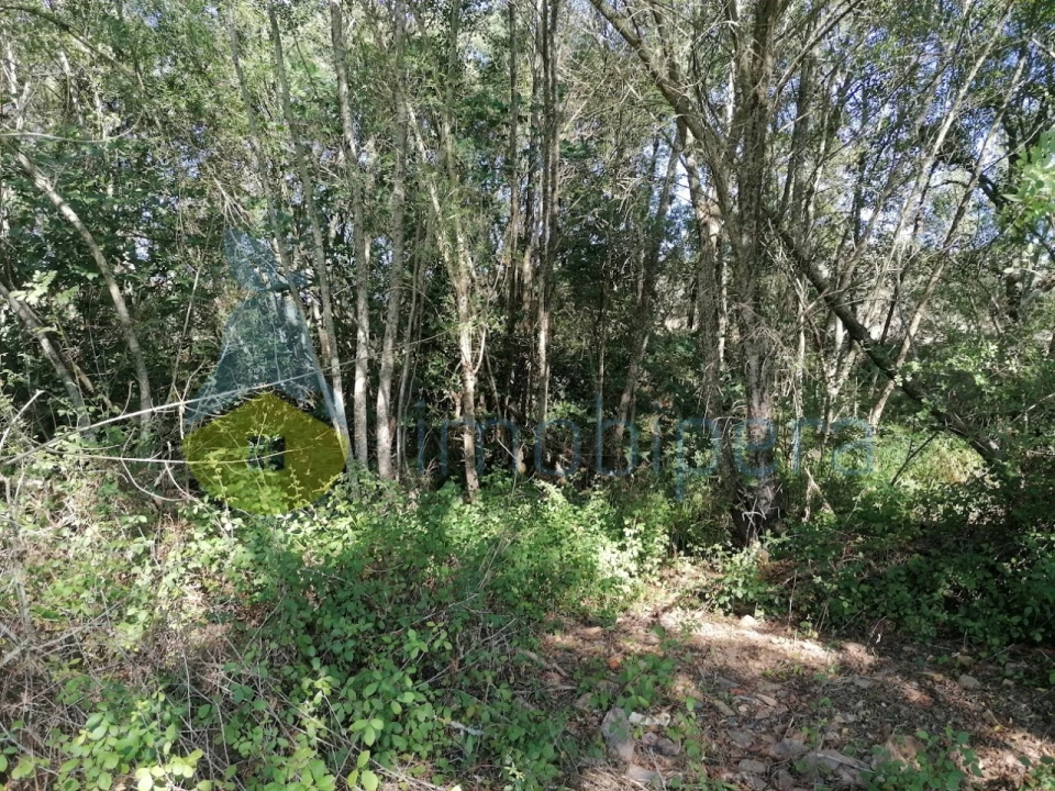 Moradia T3 para Venda em Santa Clara-A-Velha Foto 31