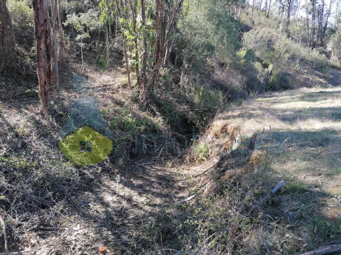 Moradia T3 para Venda em Santa Clara-A-Velha Foto 14