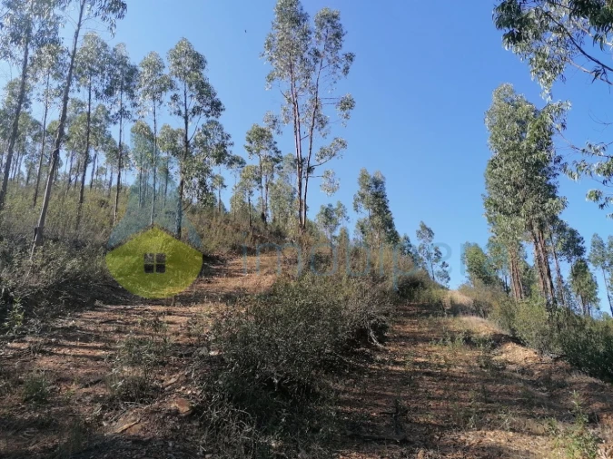 Moradia T3 para Venda em Santa Clara-A-Velha Foto 29