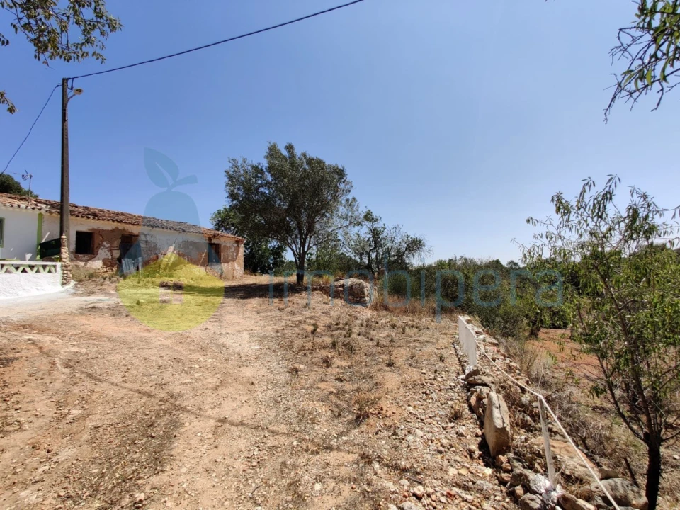Terreno para Venda em Alcantarilha e Pêra Foto 3