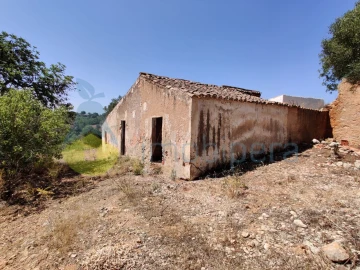 Terreno para Venda em Alcantarilha e Pêra