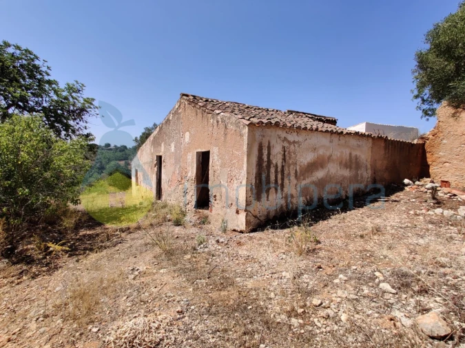 Terreno para Venda em Alcantarilha e Pêra Foto 6