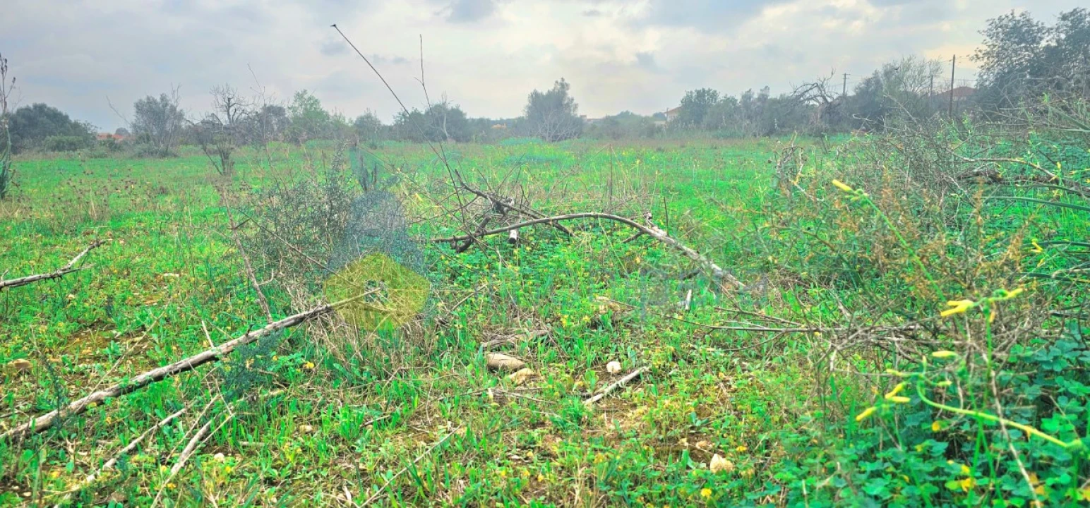 Terreno Agricola ou Rústico para Venda em São Bartolomeu de Messines Foto 4