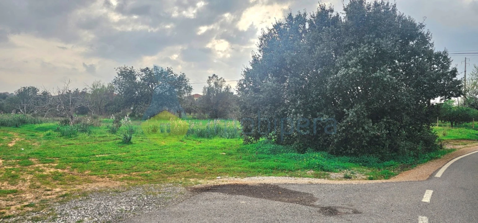 Terreno Agricola ou Rústico para Venda em São Bartolomeu de Messines Foto 2