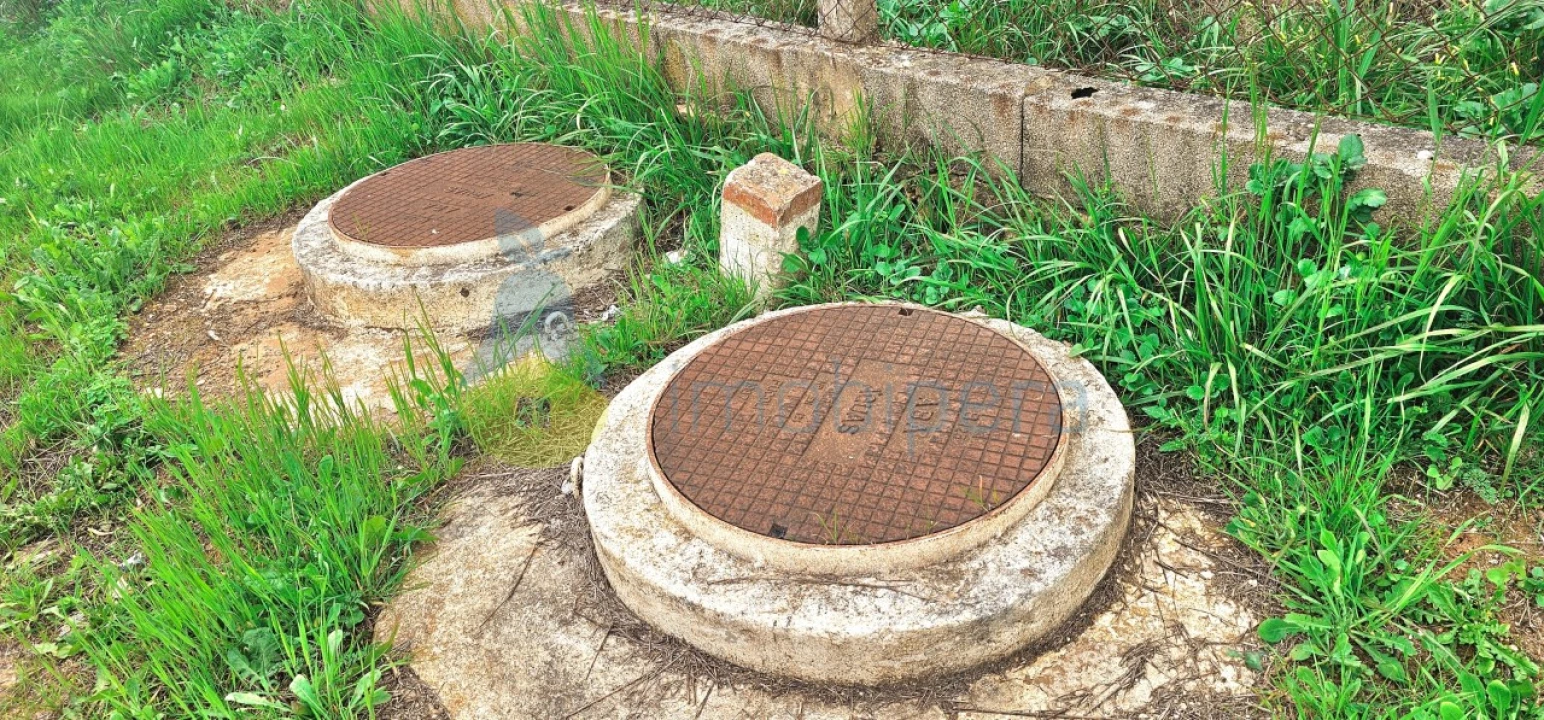 Terreno Agricola ou Rústico para Venda em São Bartolomeu de Messines Foto 8