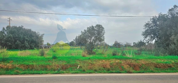 Terreno Agricola ou Rústico para Venda em São Bartolomeu de Messines