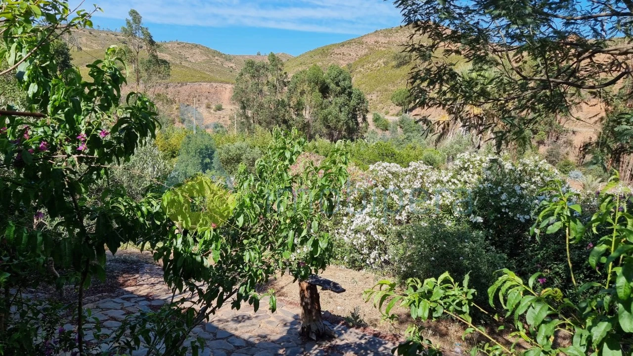 Quinta T2 para Venda em Silves Foto 10