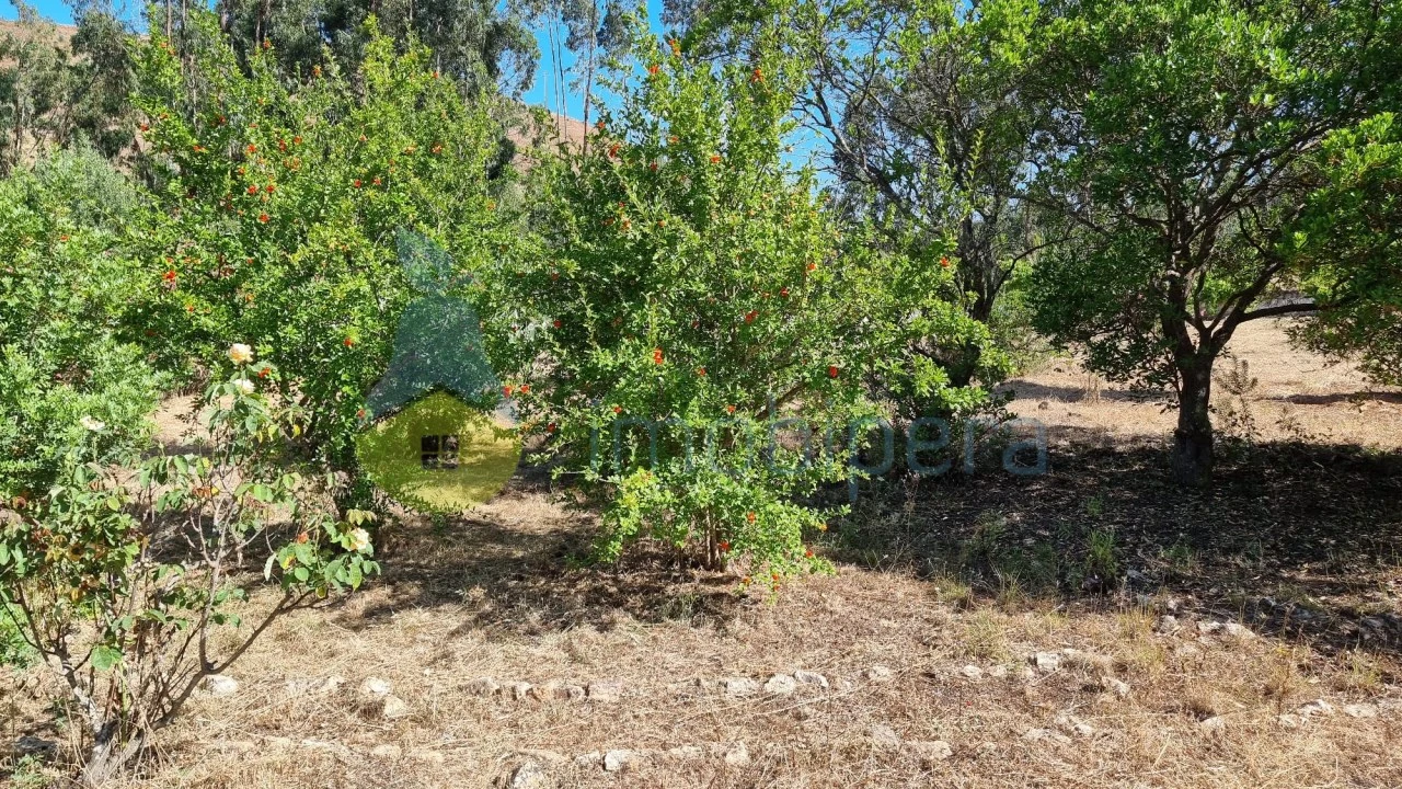 Quinta T2 para Venda em Silves Foto 11