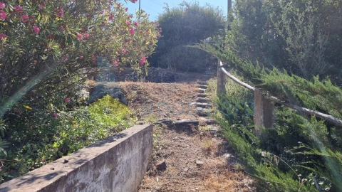 Quinta T2 para Venda em Silves