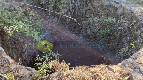 Quinta T2 para Venda em Silves