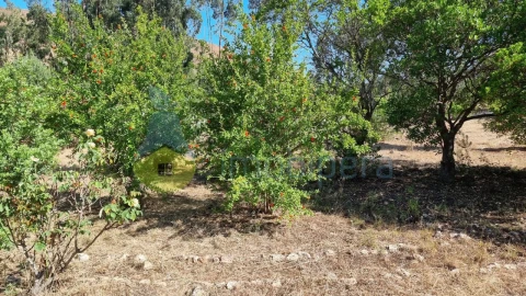 Quinta T2 para Venda em Silves