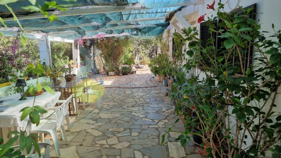 Quinta T2 para Venda em Silves Foto 6