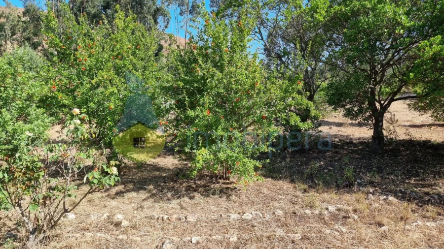 Quinta T2 para Venda em Silves Foto 11