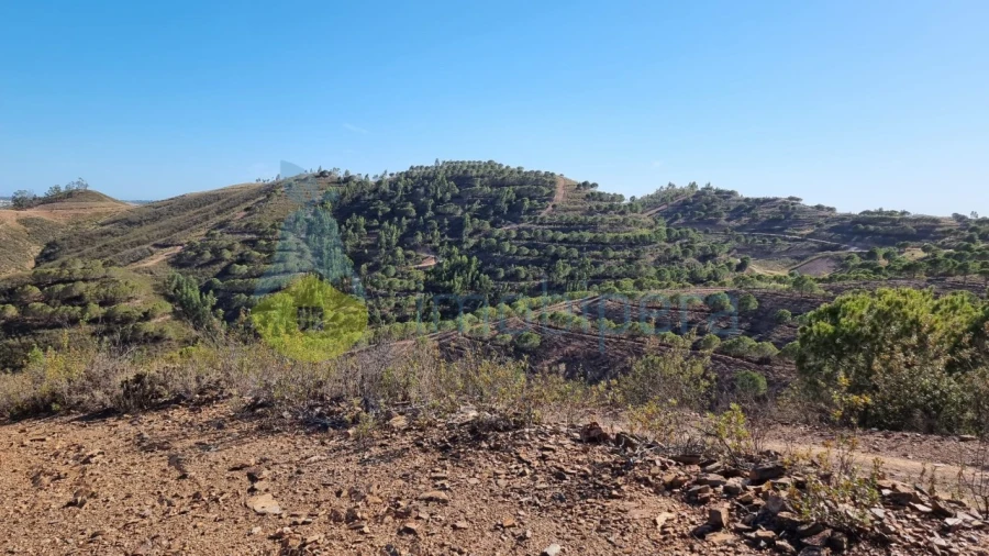 Quinta T2 para Venda em Silves Foto 14