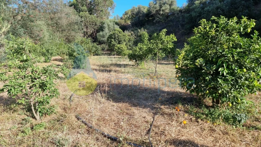 Quinta T2 para Venda em Silves Foto 16