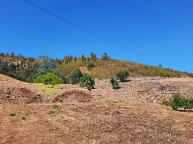 Quinta T2 para Venda em Alferce Foto 14