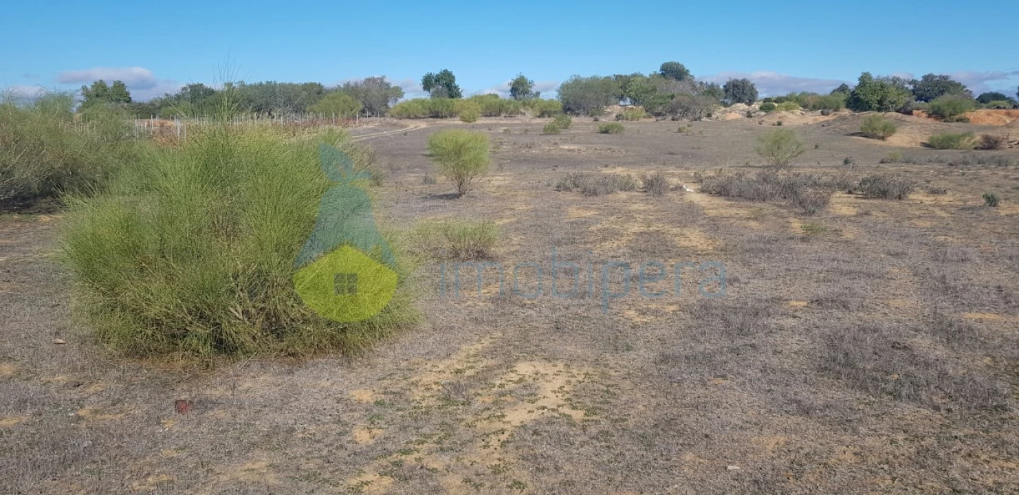 Terreno Agricola ou Rústico para Venda em Alcantarilha e Pêra Foto 1