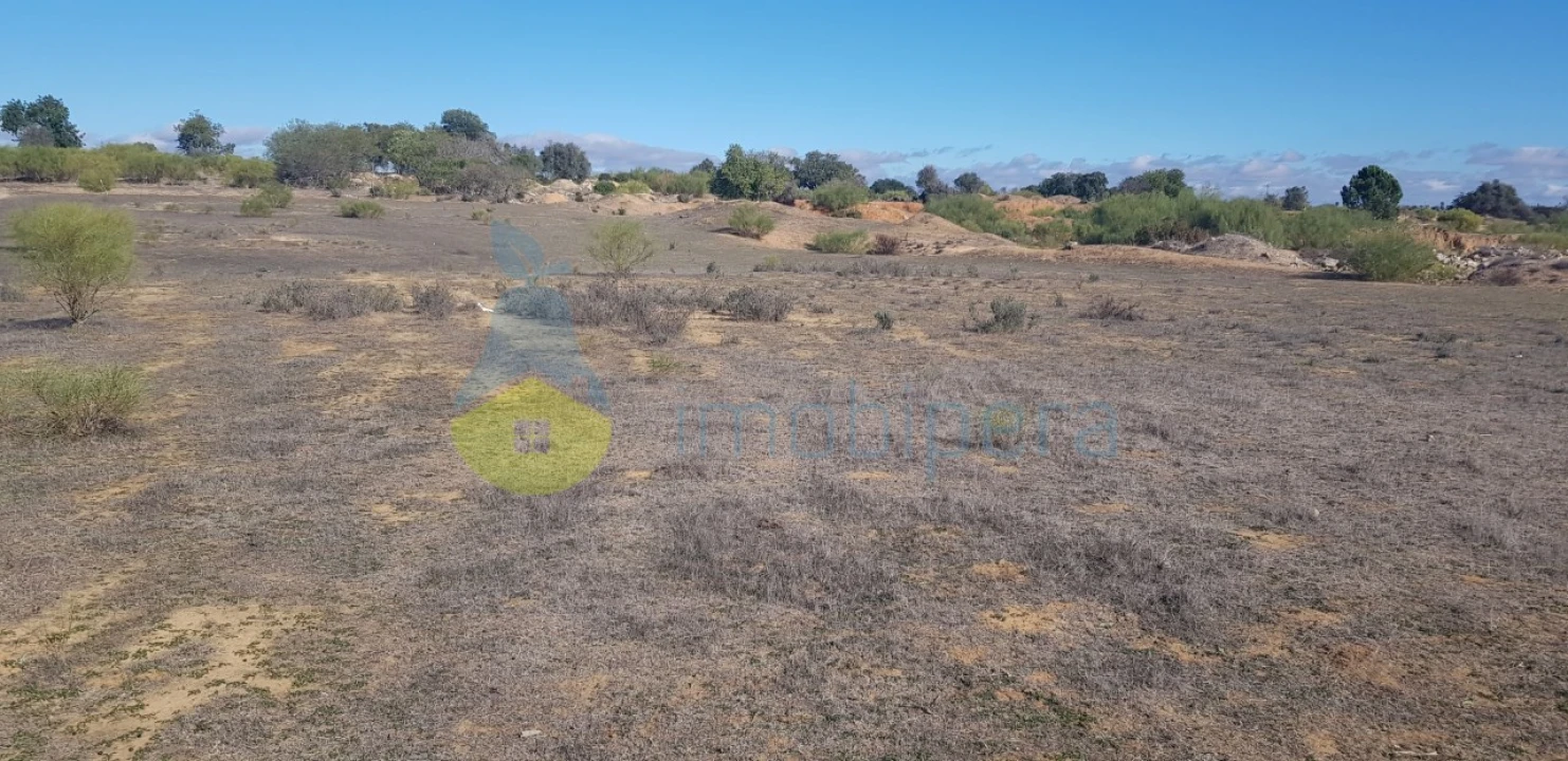 Terreno Agricola ou Rústico para Venda em Alcantarilha e Pêra Foto 2
