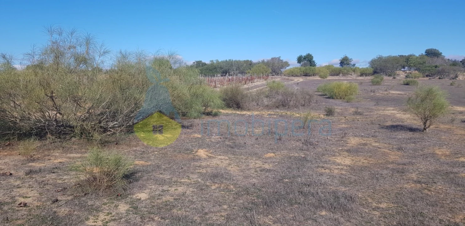 Terreno Agricola ou Rústico para Venda em Alcantarilha e Pêra Foto 3