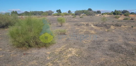Terreno Agricola ou Rústico para Venda em Alcantarilha e Pêra