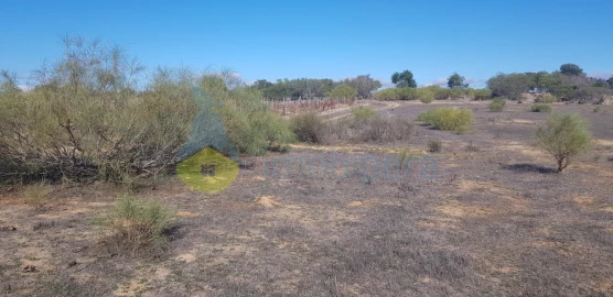 Terreno Agricola ou Rústico para Venda em Alcantarilha e Pêra