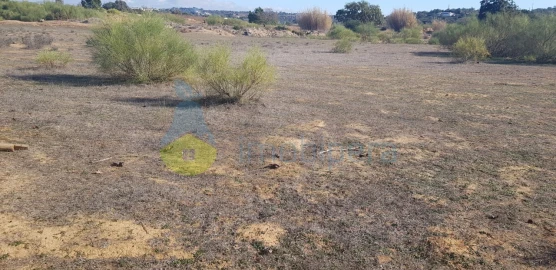 Terreno Agricola ou Rústico para Venda em Alcantarilha e Pêra