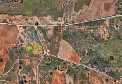 Terreno Agricola ou Rústico para Venda em Alcantarilha e Pêra