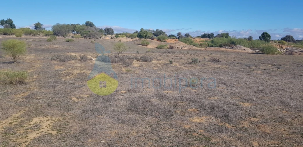 Terreno Agricola ou Rústico para Venda em Alcantarilha e Pêra Foto 2