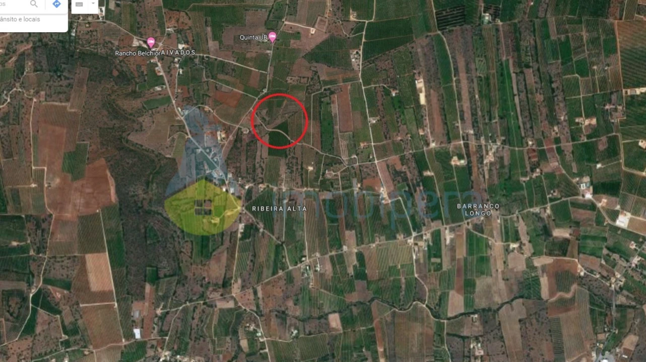 Terreno Agricola ou Rústico para Venda em Algoz e Tunes Foto 2