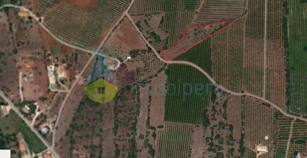 Terreno Agricola ou Rústico para Venda em Algoz e Tunes